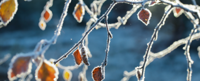 winter weather