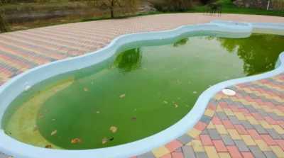 green pool Austin Pest Control Residential Experts