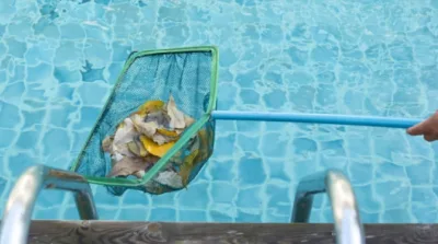 pool cleaning (1) Austin Pest Control Residential Experts
